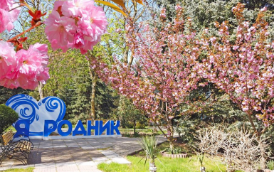 - Открытый Юг
