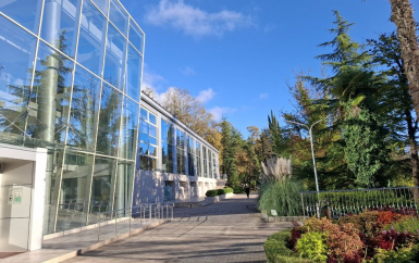 - Открытый Юг