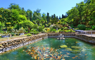 - Открытый Юг