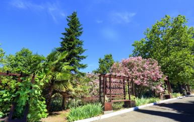 - Открытый Юг