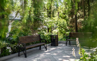 - Открытый Юг