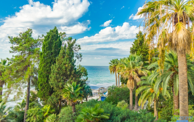 - Открытый Юг